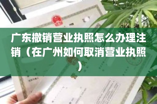 广东撤销营业执照怎么办理注销（在广州如何取消营业执照）