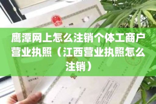 鹰潭网上怎么注销个体工商户营业执照（江西营业执照怎么注销）