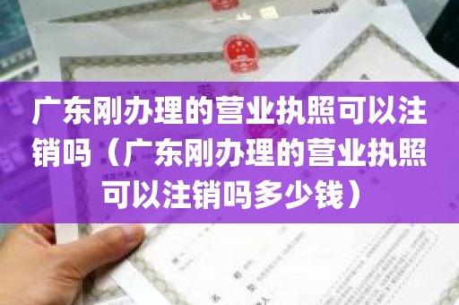 广东刚办理的营业执照可以注销吗（广东刚办理的营业执照可以注销吗多少钱）