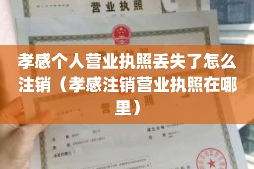 孝感个人营业执照丢失了怎么注销（孝感注销营业执照在哪里）
