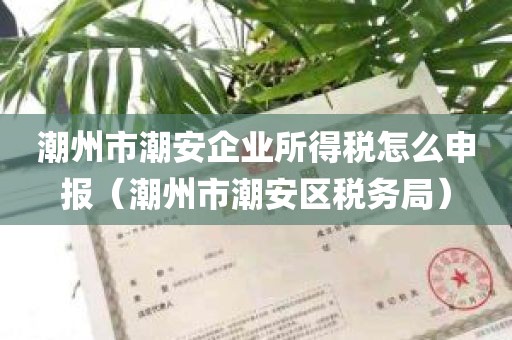 潮州市潮安企业所得税怎么申报（潮州市潮安区税务局）