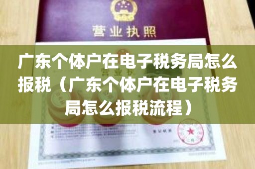 广东个体户在电子税务局怎么报税（广东个体户在电子税务局怎么报税流程）