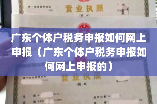 广东个体户税务申报如何网上申报（广东个体户税务申报如何网上申报的）
