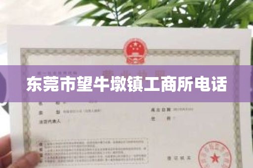 东莞市望牛墩镇工商所电话