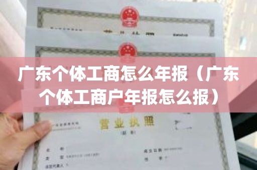 广东个体工商怎么年报（广东个体工商户年报怎么报）
