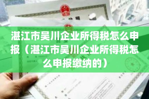 湛江市吴川企业所得税怎么申报（湛江市吴川企业所得税怎么申报缴纳的）