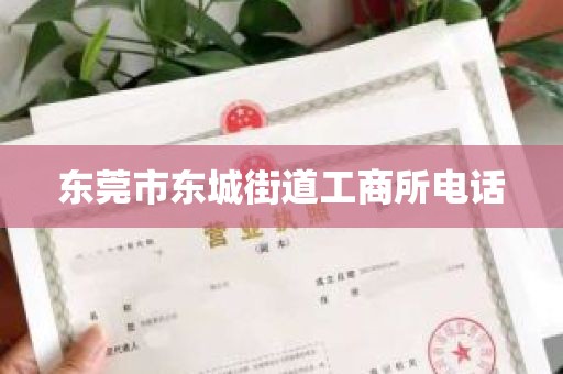 东莞市东城街道工商所电话