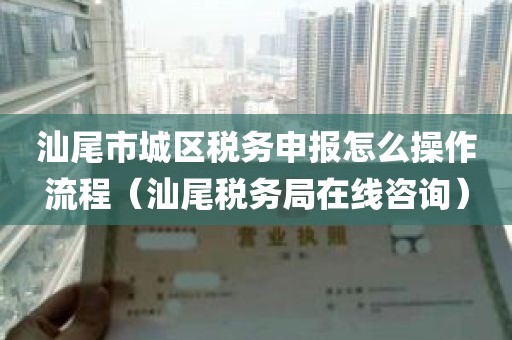 汕尾市城区税务申报怎么操作流程（汕尾税务局在线咨询）