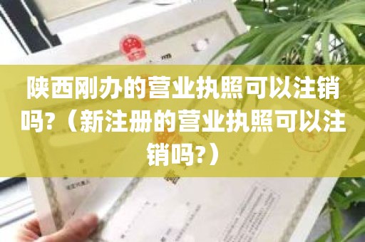 陕西刚办的营业执照可以注销吗?（新注册的营业执照可以注销吗?）