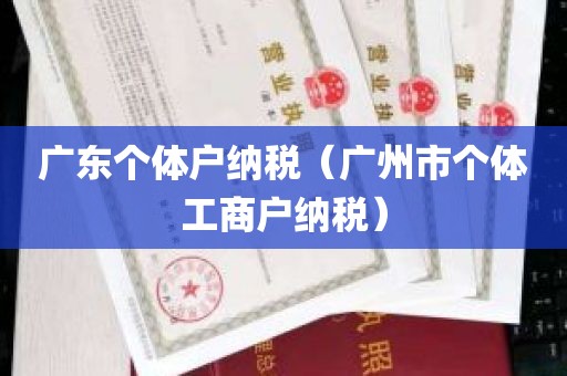 广东个体户纳税（广州市个体工商户纳税）