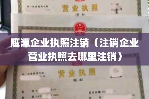 鹰潭企业执照注销（注销企业营业执照去哪里注销）