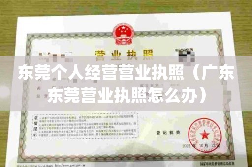 东莞个人经营营业执照（广东东莞营业执照怎么办）
