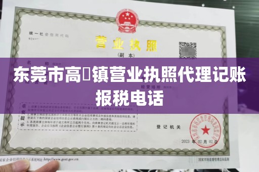 东莞市高埗镇营业执照代理记账报税电话