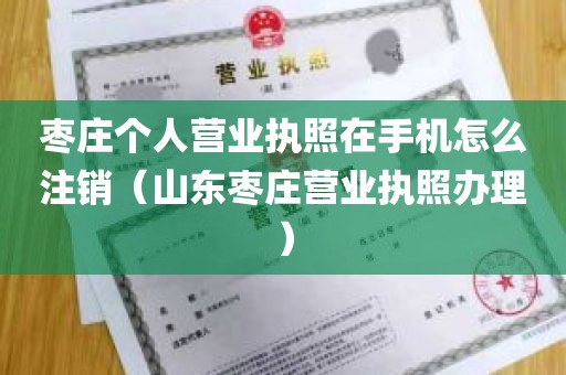 枣庄个人营业执照在手机怎么注销（山东枣庄营业执照办理）