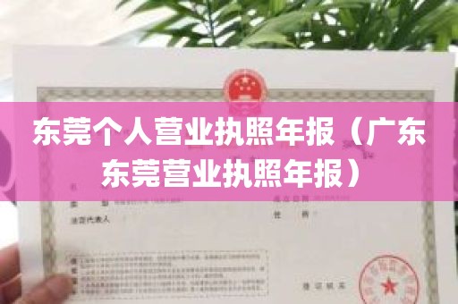 东莞个人营业执照年报（广东东莞营业执照年报）