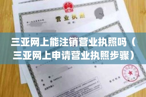 三亚网上能注销营业执照吗（三亚网上申请营业执照步骤）