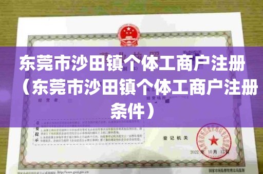 东莞市沙田镇个体工商户注册（东莞市沙田镇个体工商户注册条件）
