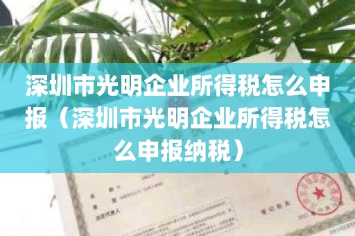 深圳市光明企业所得税怎么申报（深圳市光明企业所得税怎么申报纳税）