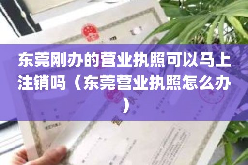 东莞刚办的营业执照可以马上注销吗（东莞营业执照怎么办）