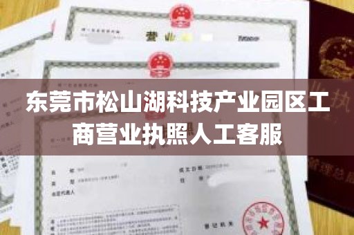 东莞市松山湖科技产业园区工商营业执照人工客服