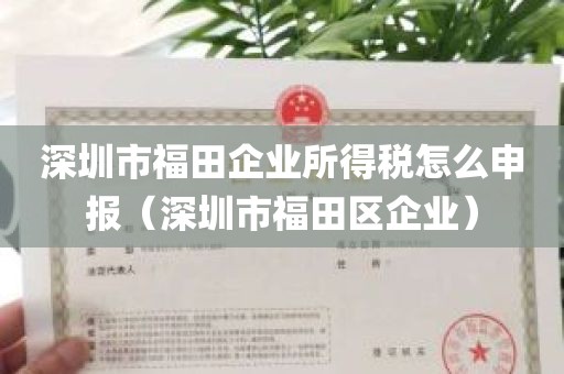 深圳市福田企业所得税怎么申报（深圳市福田区企业）