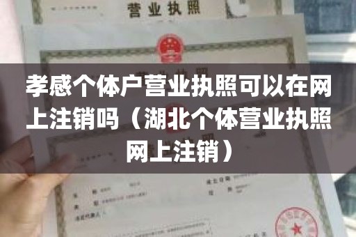 孝感个体户营业执照可以在网上注销吗（湖北个体营业执照网上注销）
