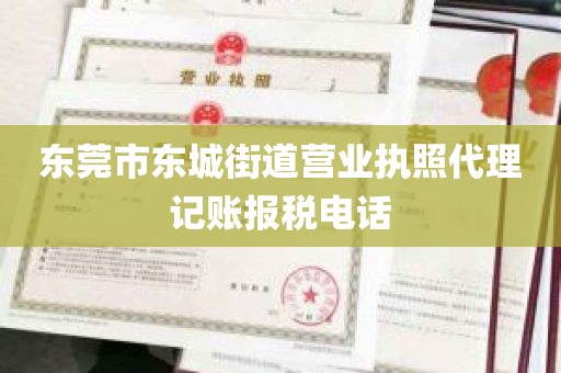 东莞市东城街道营业执照代理记账报税电话