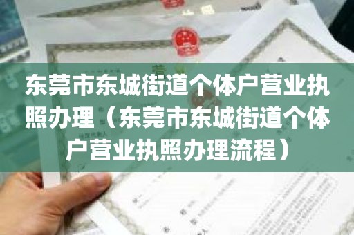 东莞市东城街道个体户营业执照办理（东莞市东城街道个体户营业执照办理流程）