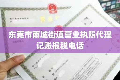 东莞市南城街道营业执照代理记账报税电话