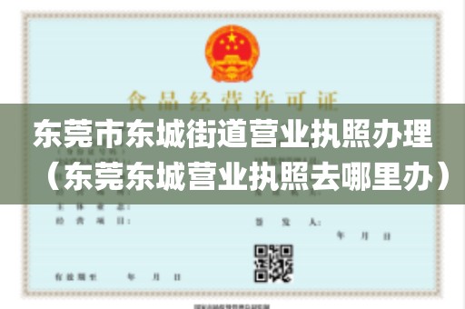 东莞市东城街道营业执照办理（东莞东城营业执照去哪里办）