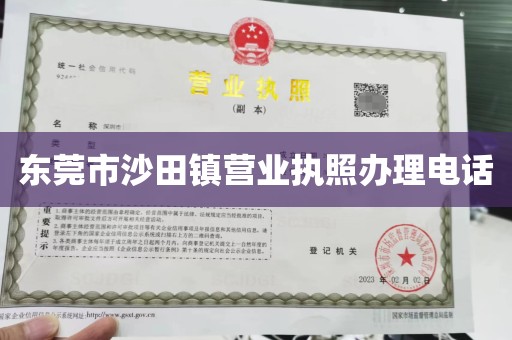 东莞市沙田镇营业执照办理电话