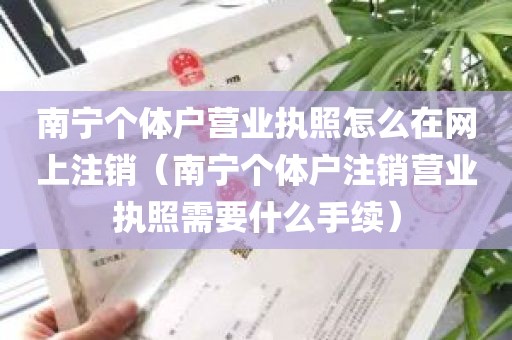 南宁个体户营业执照怎么在网上注销（南宁个体户注销营业执照需要什么手续）