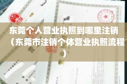 东莞个人营业执照到哪里注销（东莞市注销个体营业执照流程）