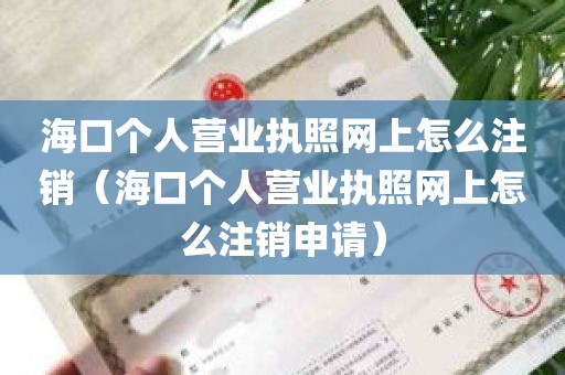 海口个人营业执照网上怎么注销（海口个人营业执照网上怎么注销申请）