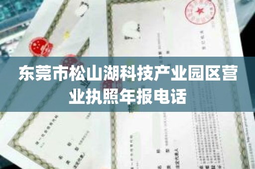 东莞市松山湖科技产业园区营业执照年报电话