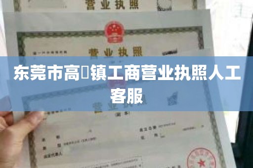 东莞市高埗镇工商营业执照人工客服