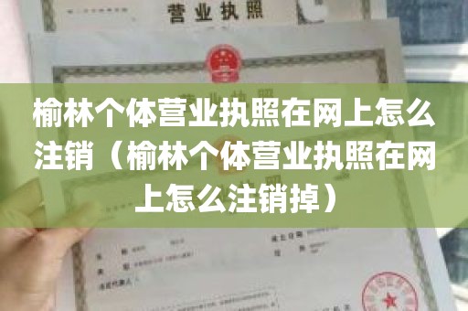 榆林个体营业执照在网上怎么注销（榆林个体营业执照在网上怎么注销掉）