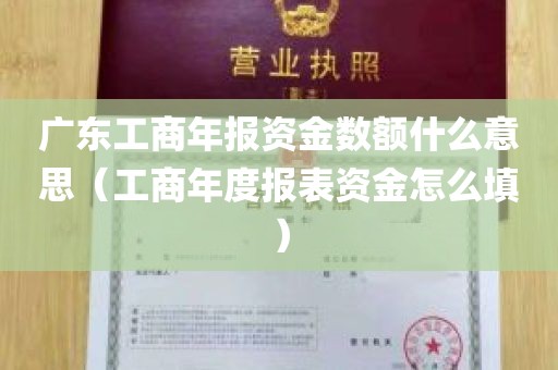 广东工商年报资金数额什么意思（工商年度报表资金怎么填）