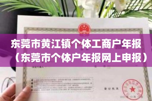 东莞市黄江镇个体工商户年报（东莞市个体户年报网上申报）