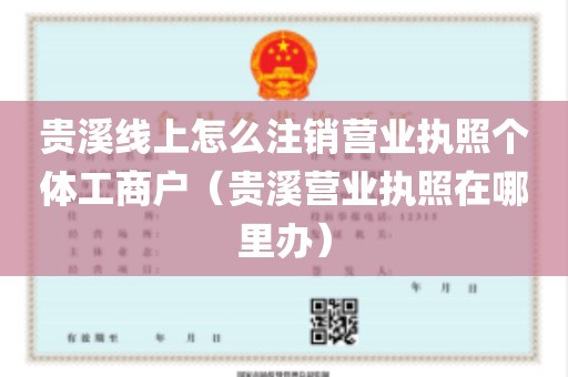 贵溪线上怎么注销营业执照个体工商户（贵溪营业执照在哪里办）