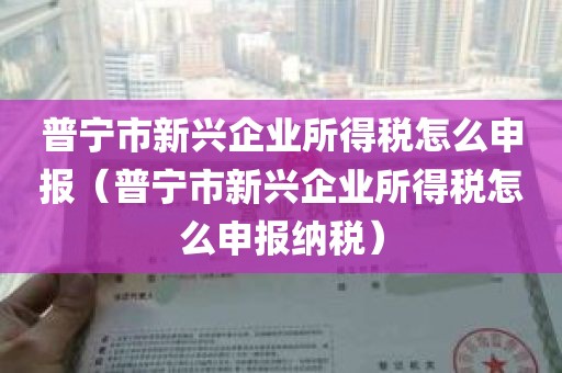 普宁市新兴企业所得税怎么申报（普宁市新兴企业所得税怎么申报纳税）