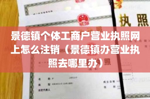 景德镇个体工商户营业执照网上怎么注销（景德镇办营业执照去哪里办）