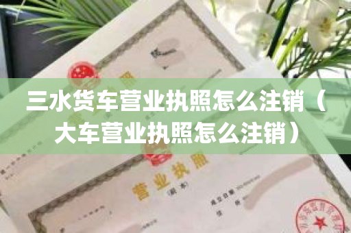 三水货车营业执照怎么注销（大车营业执照怎么注销）