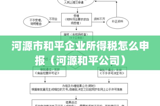 河源市和平企业所得税怎么申报（河源和平公司）
