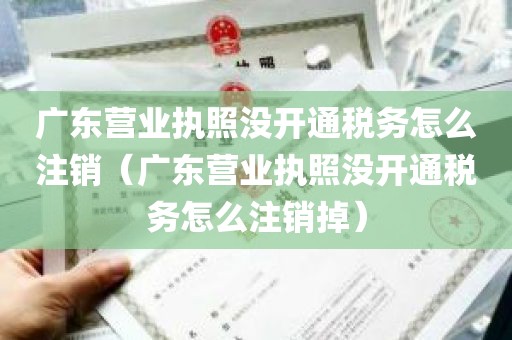 广东营业执照没开通税务怎么注销（广东营业执照没开通税务怎么注销掉）