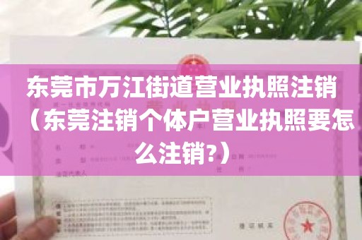 东莞市万江街道营业执照注销（东莞注销个体户营业执照要怎么注销?）