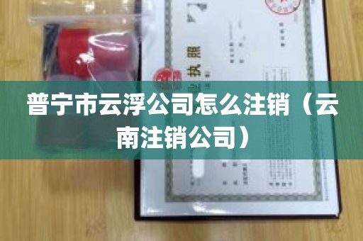 普宁市云浮公司怎么注销（云南注销公司）