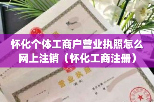 怀化个体工商户营业执照怎么网上注销（怀化工商注册）