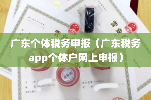 广东个体税务申报（广东税务app个体户网上申报）