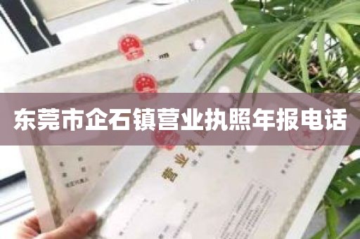 东莞市企石镇营业执照年报电话
